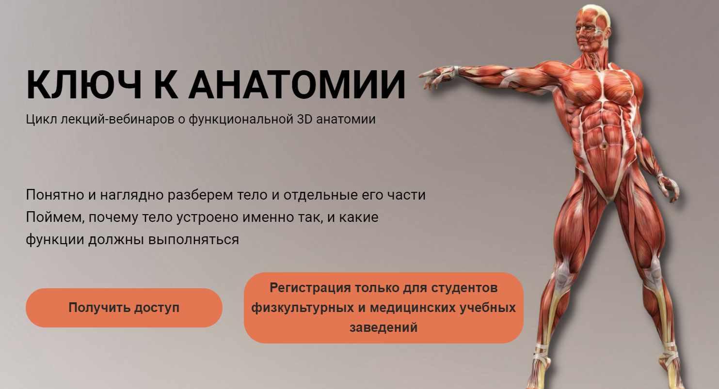 Ключ к анатомии (Станислав Свобода)